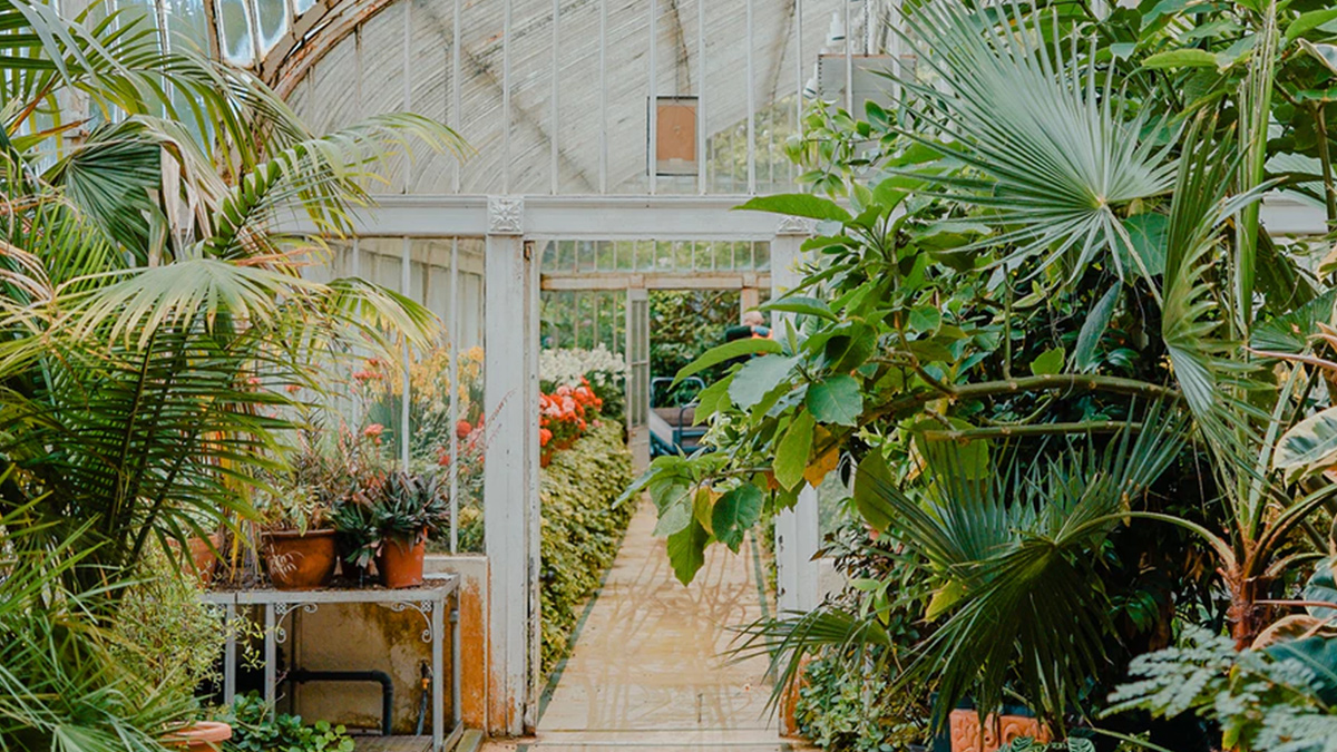 Botanic Gardens